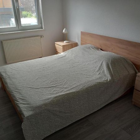 Appartement 3 Pieces Avec Balcon Rhinau Bagian luar foto