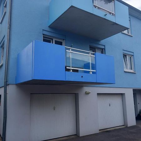 Appartement 3 Pieces Avec Balcon Rhinau Bagian luar foto