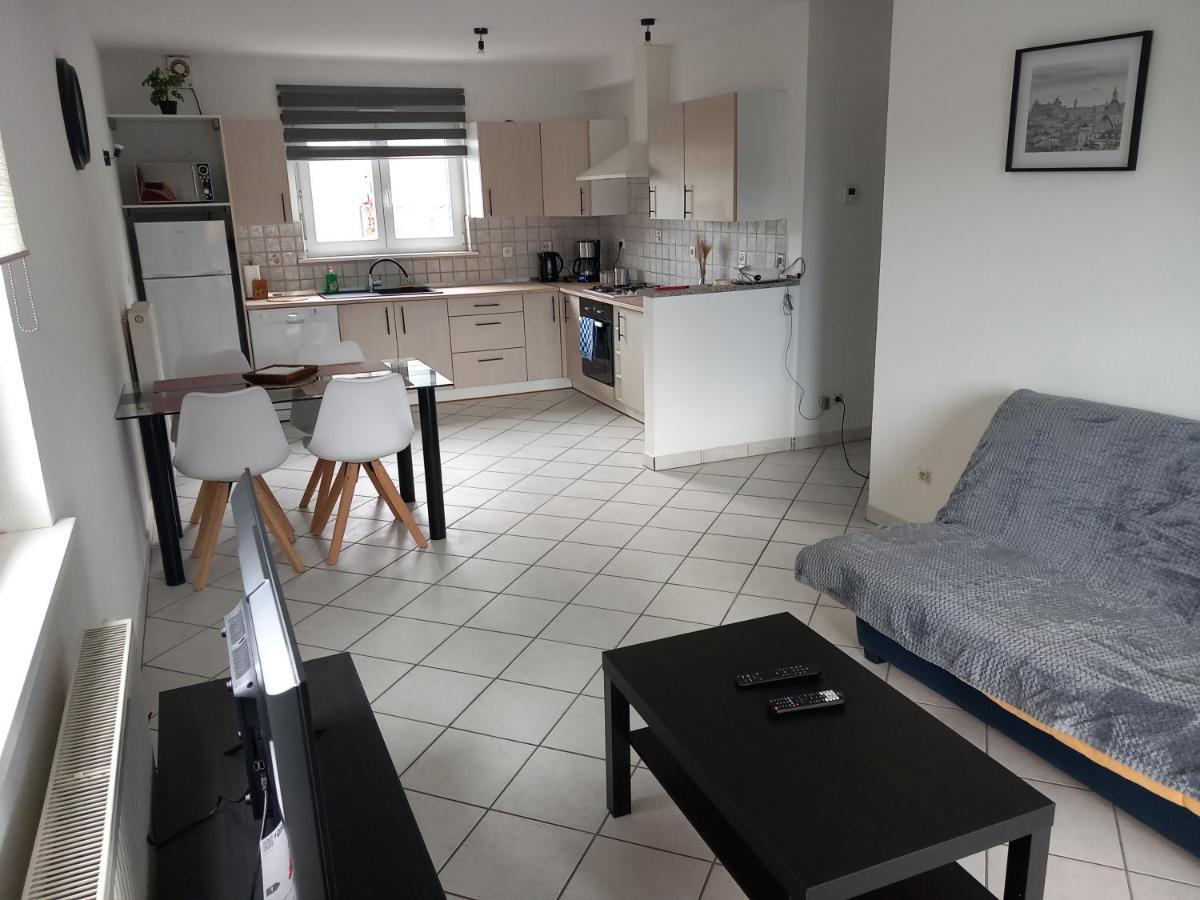 Appartement 3 Pieces Avec Balcon Rhinau Bagian luar foto